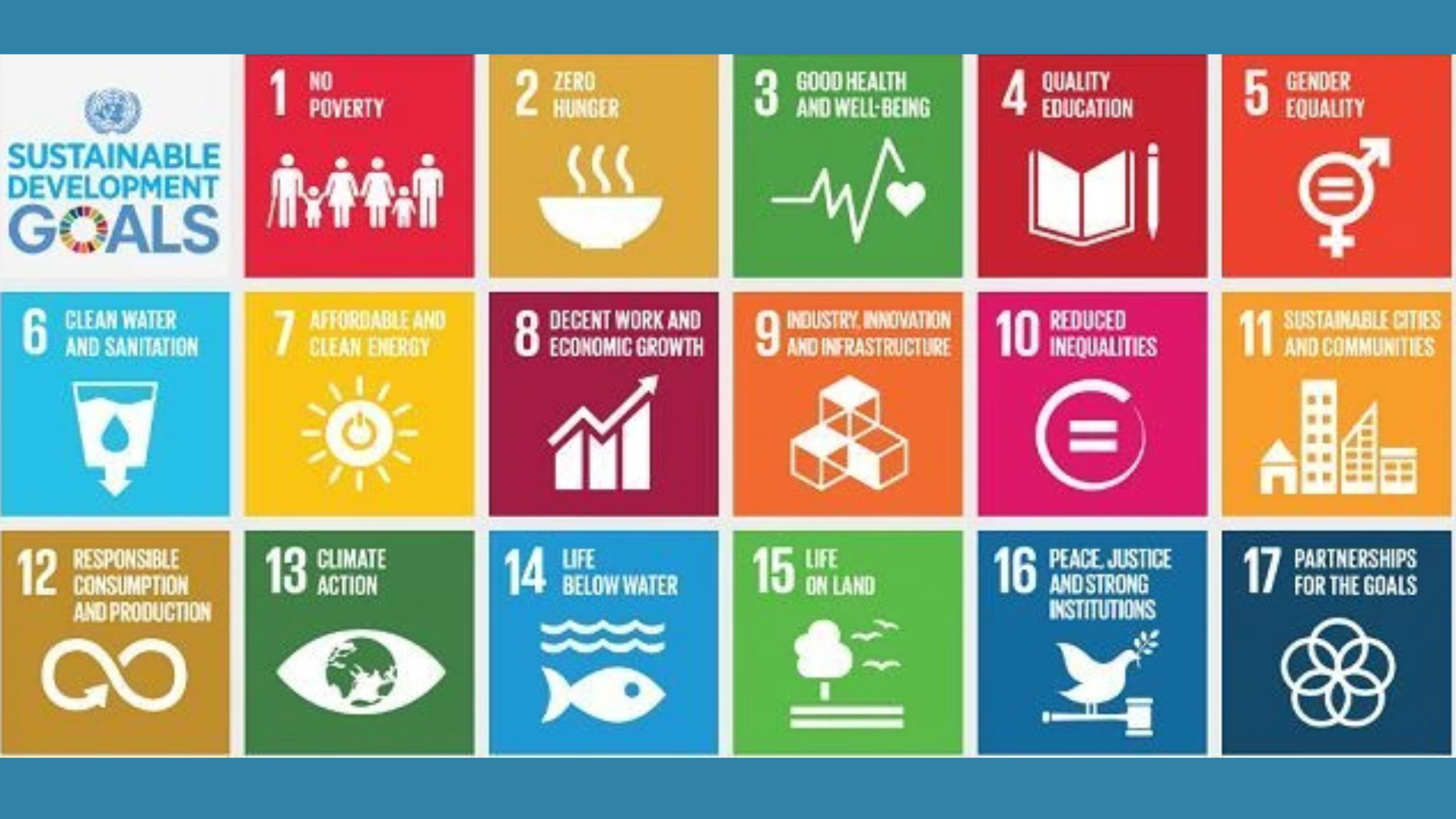 SDG Goal